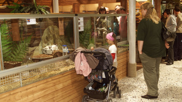 Award for Kölle Zoo