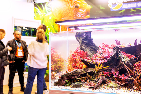 Live aquascaping and other presentations were well received  by a truly niche audience.