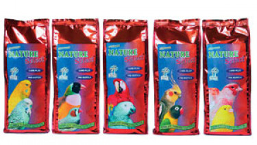 International product presentation 