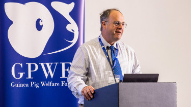 Guinea Pig Welfare Forum returns for third year