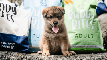 Buddy Bites donates to animal shelters with every order
