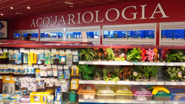 Most exhibitors have high expectations