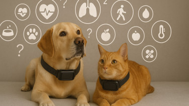 9 out of 10 customers want GPS trackers without a flood of features