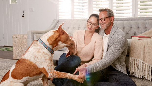 Symrise aims to consolidate its leading position in the pet food field with its acquisition of Schaffelaarbos. Symrise aims to consolidate its leading position in the pet food field with its acquisition of Schaffelaarbos.
