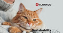 Flamingo publishes sustainability report