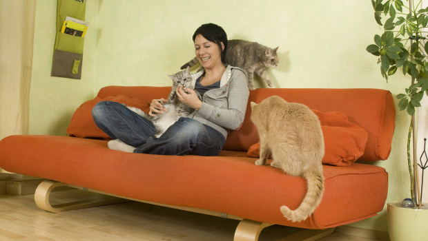 The love of pets seems to be strongest in Germany, according to a new study carried out by market research firm Mintel. The love of pets seems to be strongest in Germany, according to a new study carried out by market research firm Mintel.