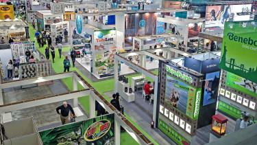 Buying mood brightened