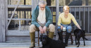 90 mio households own pets