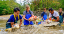 From a garden pond to a digital business model
