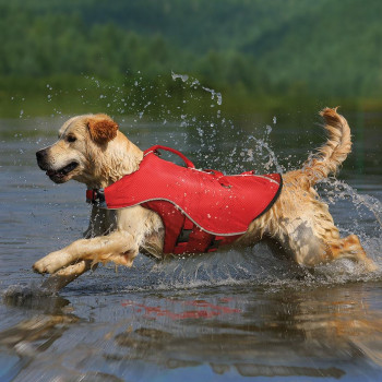 Kurgo products include dog life jackets, leads and collars.