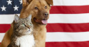 Pet ownership at 54 per cent of U.S. households