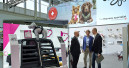 Thule acquires Curli