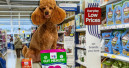 WellPaws becomes first pet supplement brand in Tesco Ireland
