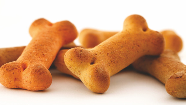 The Symrise Pet Food division sales remain at the level of the previous year, according to the company.