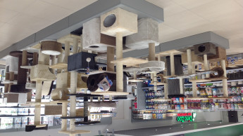 Plaček shakes up the Russian market