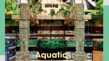 Focus on aquariums products