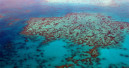 Corals on the Great Barrier Reef recovering