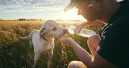 Purina donates 25 000 dollars