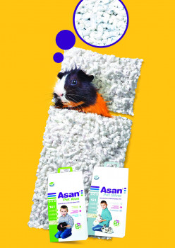 Asan Pet Silver