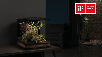 Oase terrarium receives IF Design Award