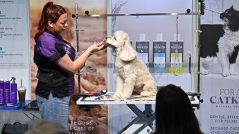 PATS 2026 expands Grooming Zone with retailer sessions