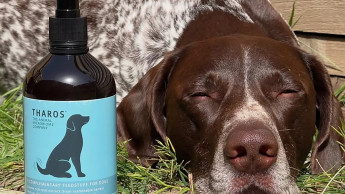 Tharos reports calming effect of a malt extract supplement in dogs