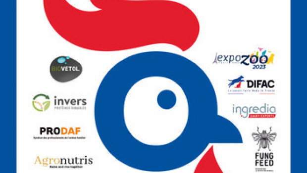 The 13 French companies in attendance aim to expand their international network, present new products and conclude new contracts.