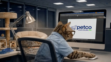 Petco introduces new cat-centric strategy