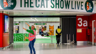 The Cat Show Live expands to London