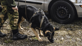 Non-stop dogwear supplies the Armed Forces