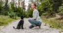 Understanding Germany’s dog owners