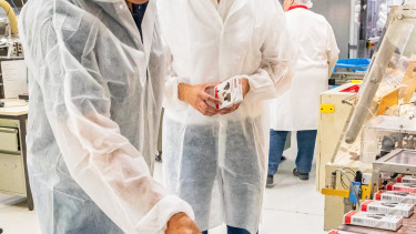 Beaphar celebrates its 250 millionth flea collar