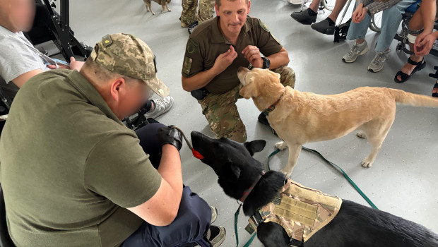 A program participant during a session with dogs.