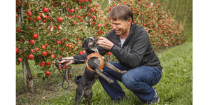Sustainable: High-performance vest harness made from apple leather