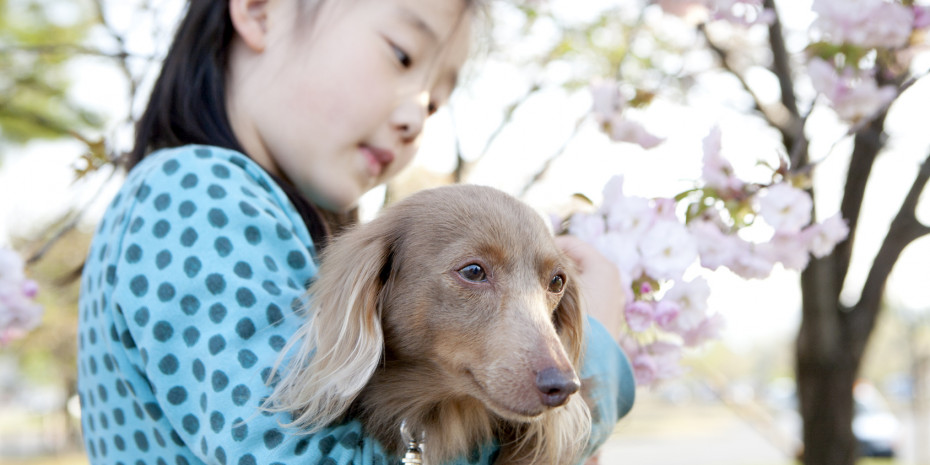 Despite the fact that Japan’s population decline is set to continue, Euromonitor International forecasts that real value pet care sales will expand.

