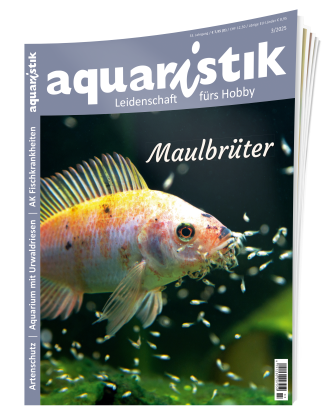 Ergänzendes Bildmaterial