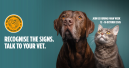 Pet Anxiety Awareness Day expands to Europe