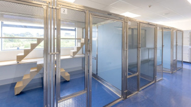 Casco Pet launches CareKennels and shelters division