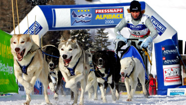 Fressnapf Austria sponsors dog sled race