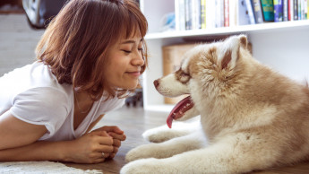 300 mio pets in Europe