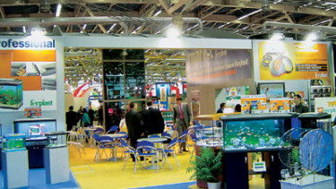 International appeal on the increase   