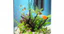 Tetra designer aquarium in fashionable white