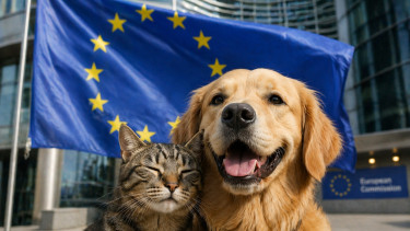EU adopts landmark rules for dogs and cats