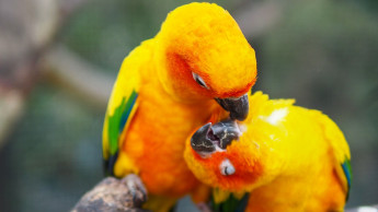 New habits and shopping patterns New habits and shopping patterns