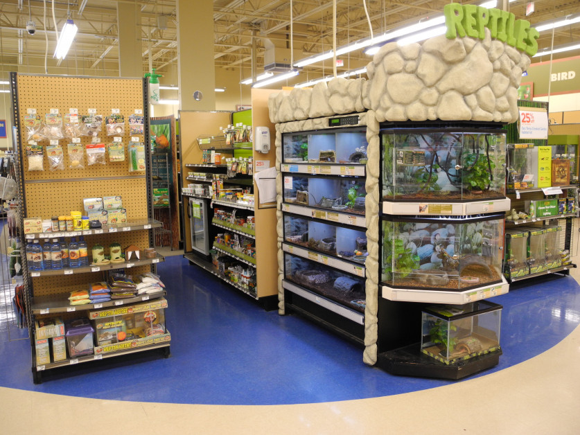 Reptile shop europe sales