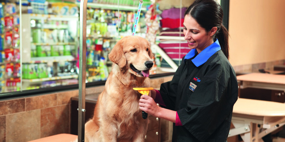 Pet market in the USA, Pet services
