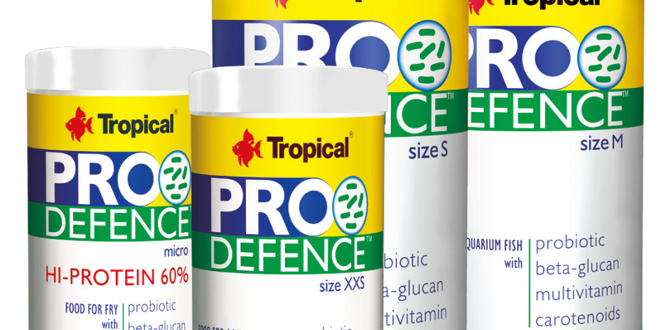  Tropical, Pro Defence 
