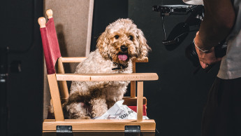 Tom&Co casts dogs for its own-brand jingle
