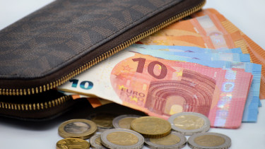 Inflation rate falls slightly in euro zone