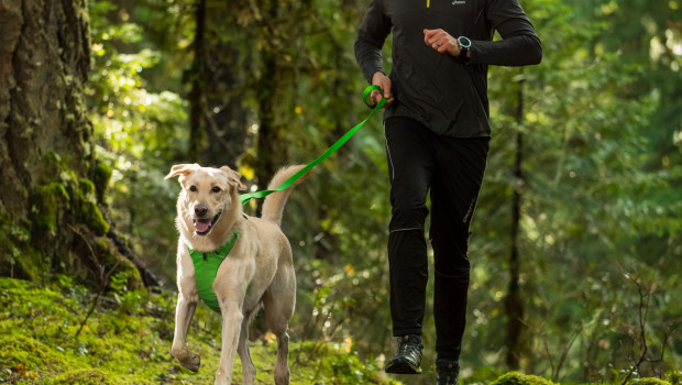 The Front Range harness is available in sizes from XXS to XL and in six colours. The Front Range harness is available in sizes from XXS to XL and in six colours.